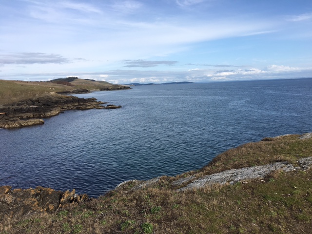 Friday Harbor Island:  Making the Most of a Family One-Day&nbsp;Get-A-Way