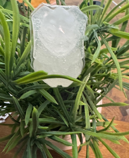 Clear rabbit squishy toy tucked inside the leaves of a fake plant in a pot.