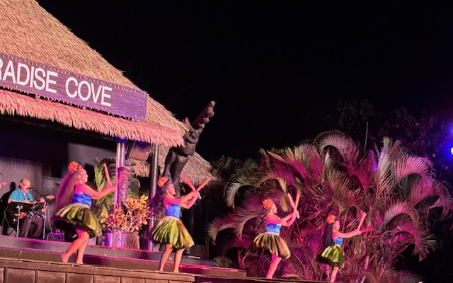 The Fixin’ Leaks ‘n Leeks Ohana Attends a&nbsp;Luau