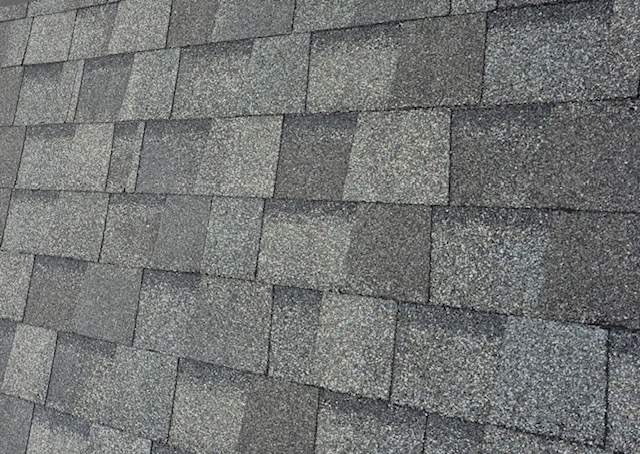 Raise the Roof: Shingle and Ready to&nbsp;Mingle