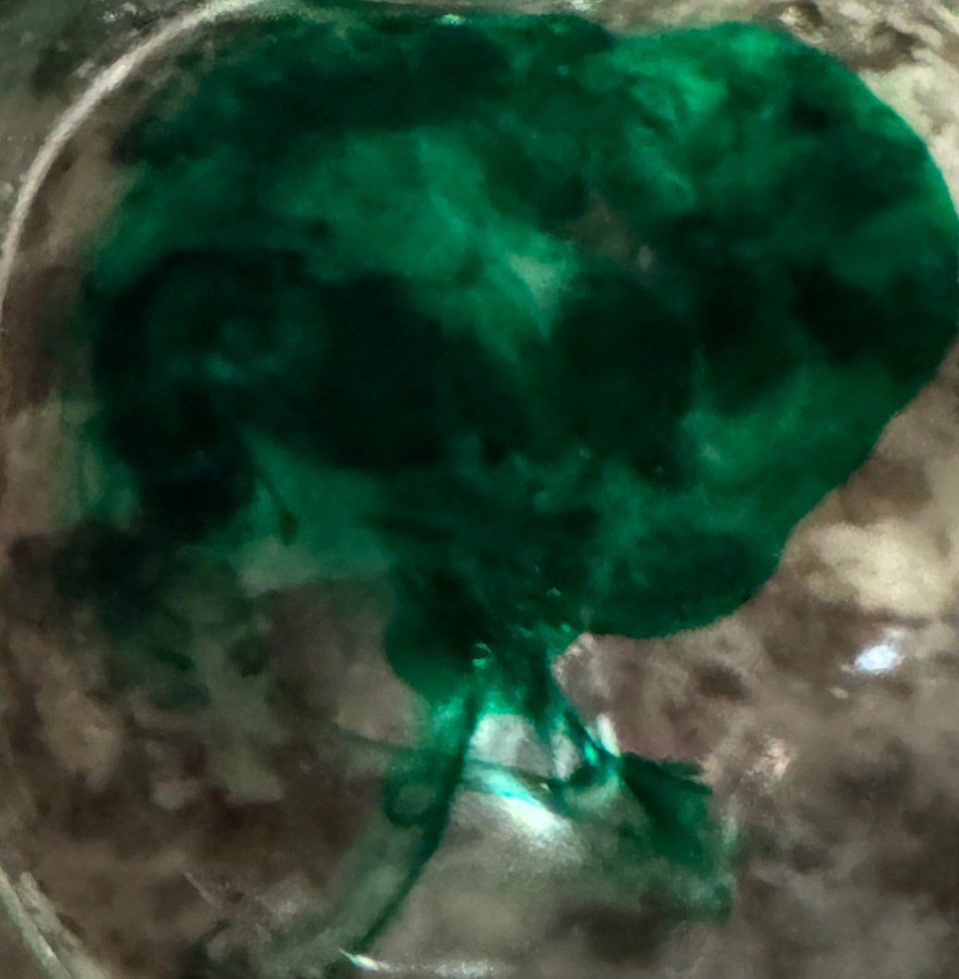 DIY Ghost Stories: Terrifying Travels into Some Kind of New Dimension in the&nbsp;House