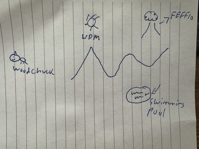 This is a photo of a child-like drawing on lined paper in blue pen ink. On the left is a crudely drawn animal-like figure and it is labeled "woodchuck." There are three mountain-peak like lines. Above one of them is a sun-like drawing--it also looks like a spider. It is labeled "WDM" Off to the right is a tree drawing with an arrow pointing to a label: FEFF10. Below, there is a circle with wavy lines and it is labled "Swimming Pool" with an arrow.